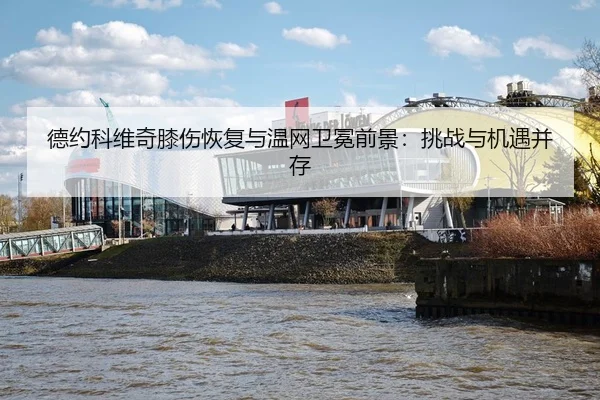 de-yue-ke-wei-qi-xi-shang-hui-fu-yu-wen-wang-wei-mian-qian-jing-tiao-zhan-yu-ji-yu-bing-cun-3-208.jpg