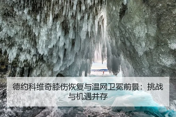 德约科维奇膝伤恢复与温网卫冕前景：挑战与机遇并存
