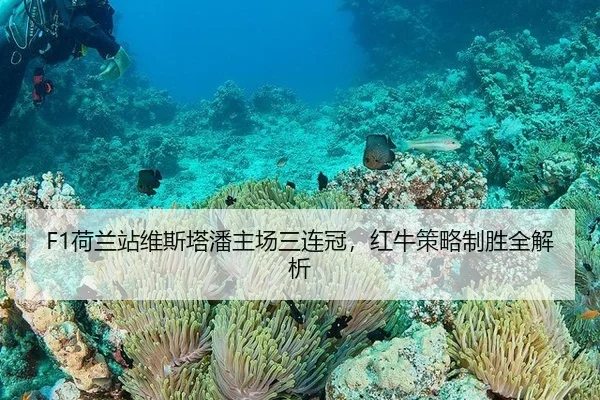 F1荷兰站维斯塔潘主场三连冠，红牛策略制胜全解析