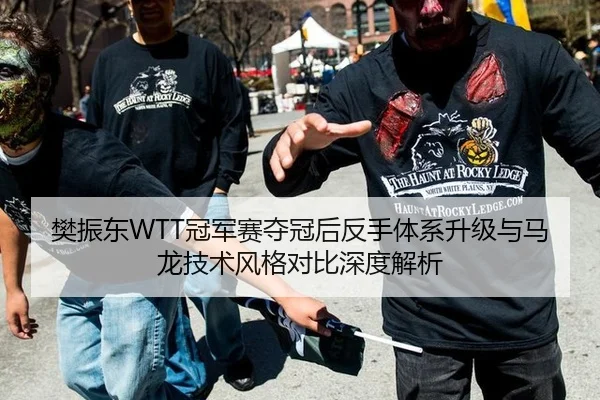 樊振东WTT冠军赛夺冠后反手体系升级与马龙技术风格对比深度解析
