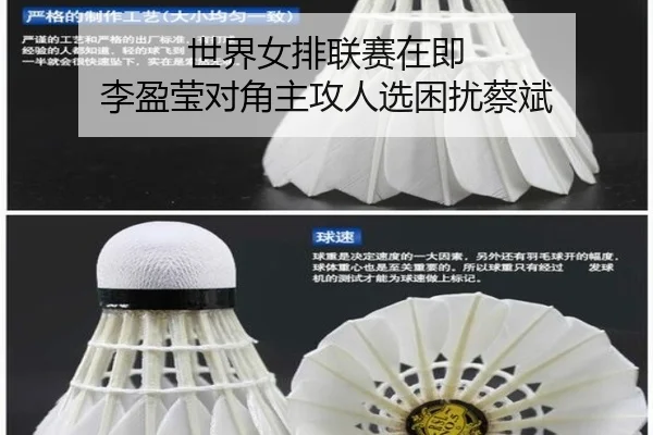 世界女排联赛在即 李盈莹对角主攻人选困扰蔡斌