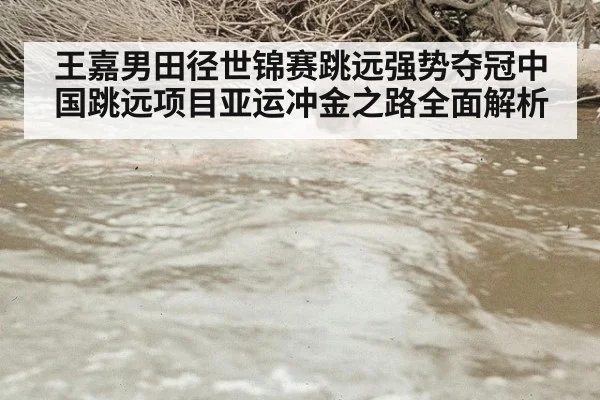 王嘉男田径世锦赛跳远强势夺冠中国跳远项目亚运冲金之路全面解析